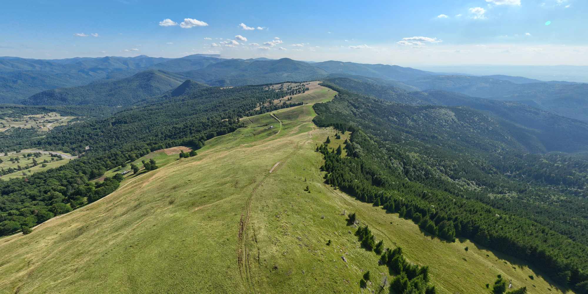 Rădăcini seculare