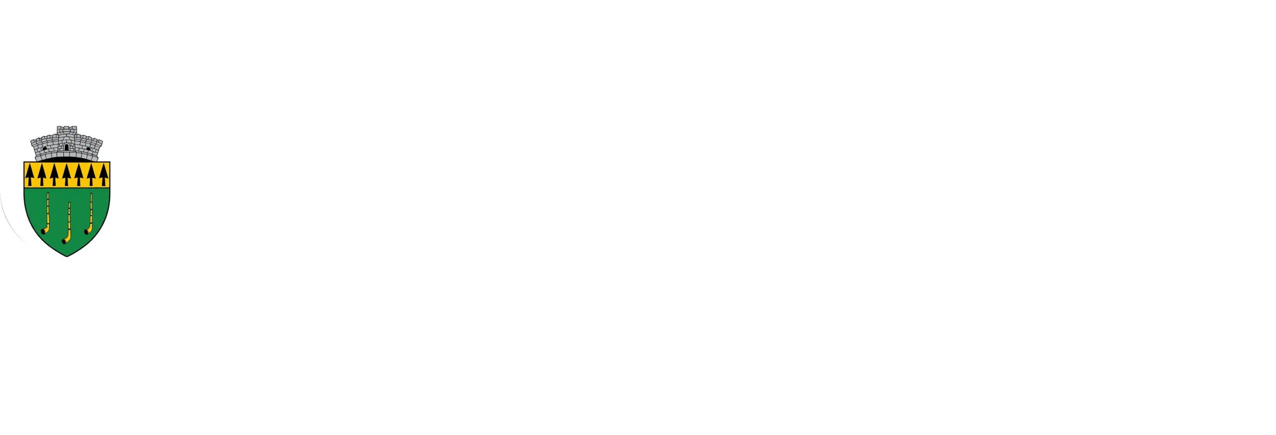 Comuna Tulnici - Poarta Munților Vrancei